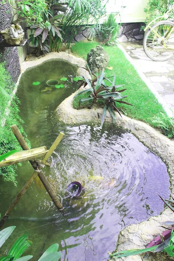Hoi An Coco Couple Homestay Hoi An