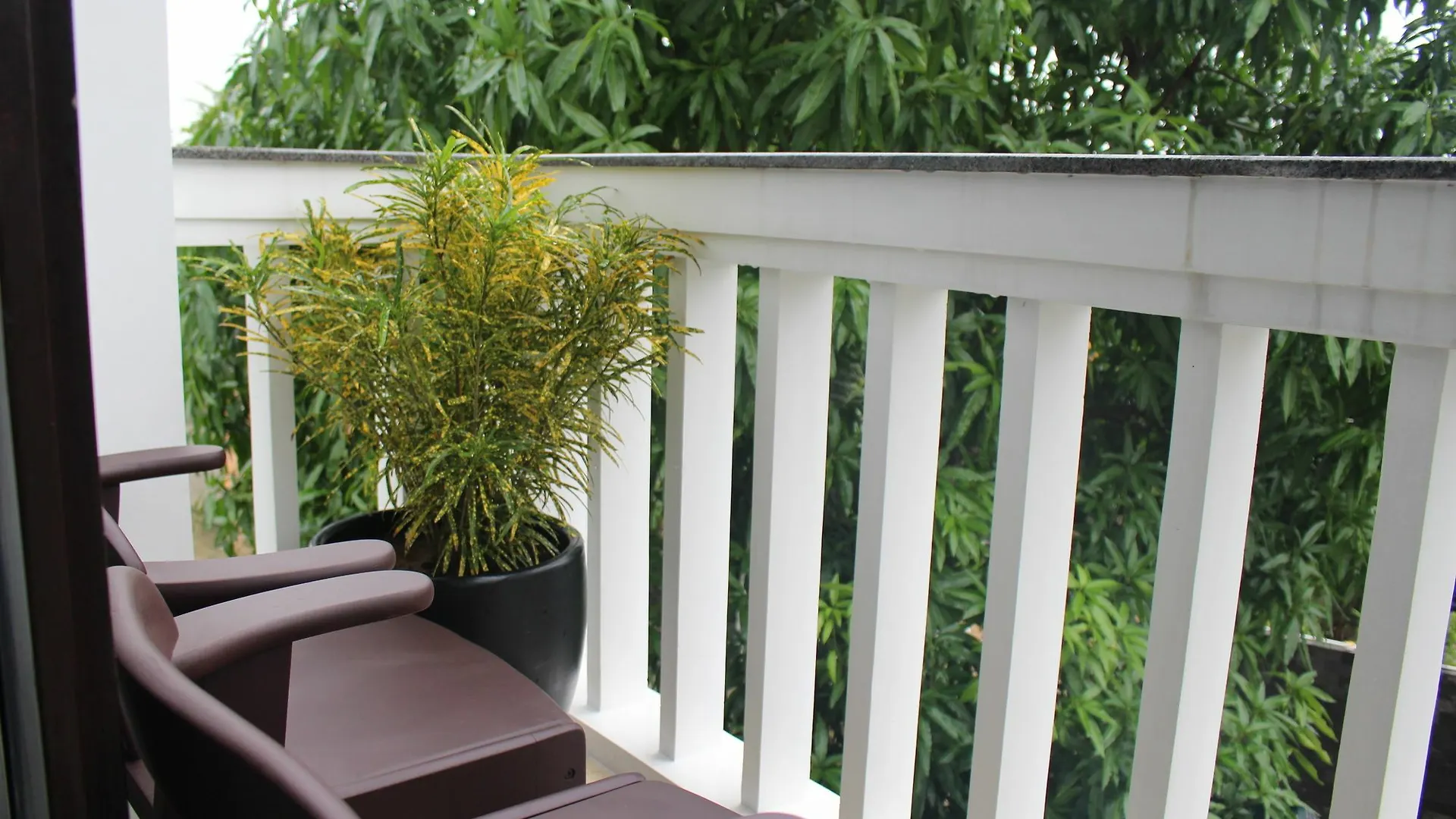 Hoi An Coco Couple Homestay